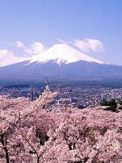 富士山