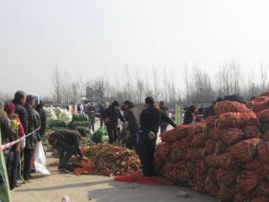 郑州免费发放蔬菜数万人排队1公里领取(图)