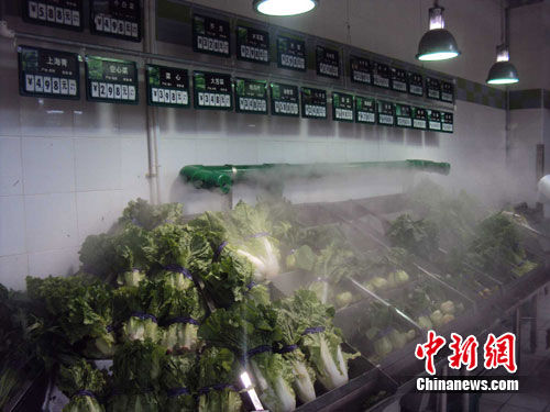 超市内蔬菜供应充足,菜价涨幅为1至3元不等。张茜翼 摄 超市内蔬菜供应充足,菜价涨幅为1至3元不等。张茜翼 摄