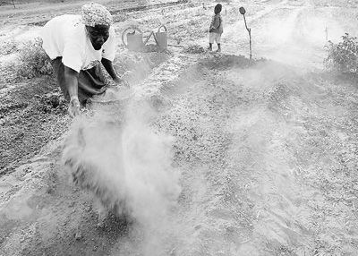 非洲土地市场的高回报率吸引着外来投资者。图为塞内加尔农民正在挖渠种田。人民图片 非洲土地市场的高回报率吸引着外来投资者。图为塞内加尔农民正在挖渠种田。人民图片