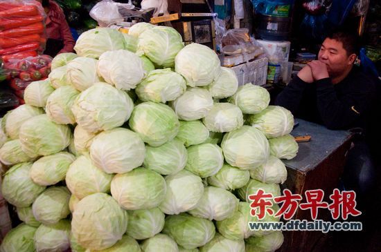 昨晚，上海曹安市场，蔬菜批发商望着眼前的一堆卷心菜。早报记者 王炬亮 实习生 杨深来 图