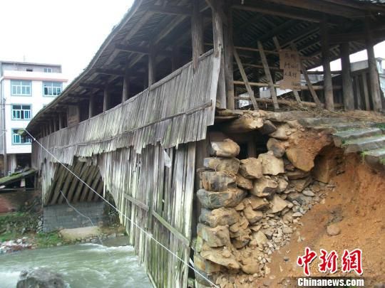 图为桥头出现坍塌的明代廊桥“蜈蚣桥”。陈金水 摄 图为桥头出现坍塌的明代廊桥“蜈蚣桥”。陈金水 摄