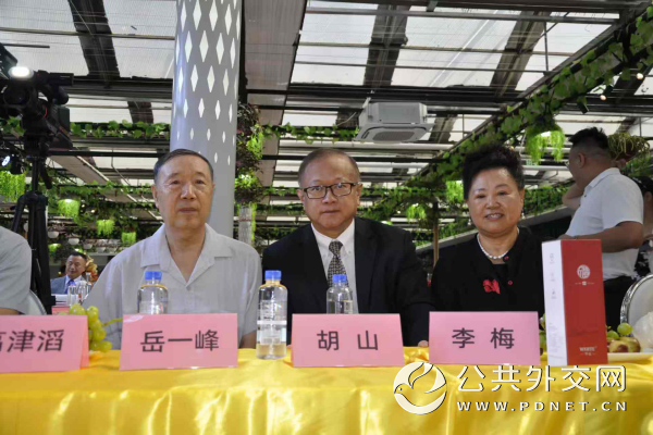 1790652794701628.png 图片12_1.png
